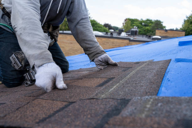 Best Flat Roof Repair Services  in Winnebago, MN