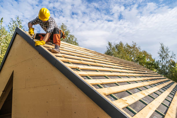 Best Emergency Roof Repair  in Winnebago, MN