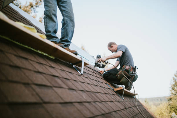 Quick and Trustworthy Emergency Roof Repair Services in Winnebago, MN